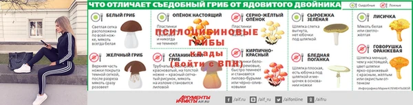 спиды Михайловка