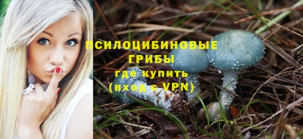 прущая мука Михайловск