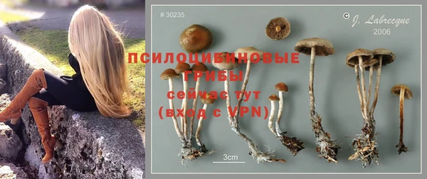 а пвп мука Михайлов