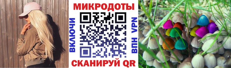 гидра ONION  Южно-Сухокумск  Псилоцибиновые грибы Psilocybe  где купить наркотик 